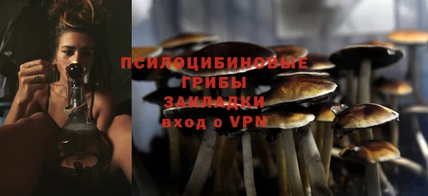 крисы Балахна