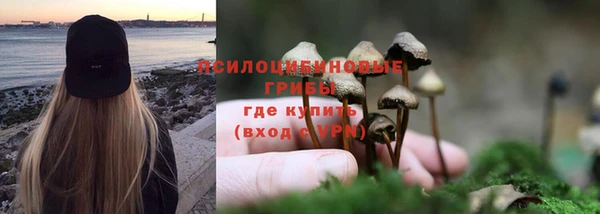 крисы Балахна