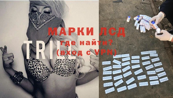 крисы Балахна